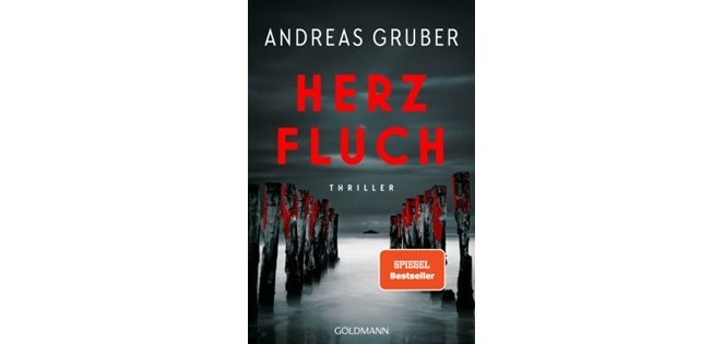 Es ist das Cover des Thrillers Herz Fluch zu sehen; das Buch ist vom Autor Andreas Gruber; ein Spiegel Beststeller aus dem Goldmannverlag. Es ist Wasser zu sehen; in dem Wasser stehen Holzpfosten.