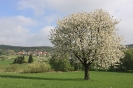 Landschaftsaufnahmen Schönau (Fotos Kreuter)