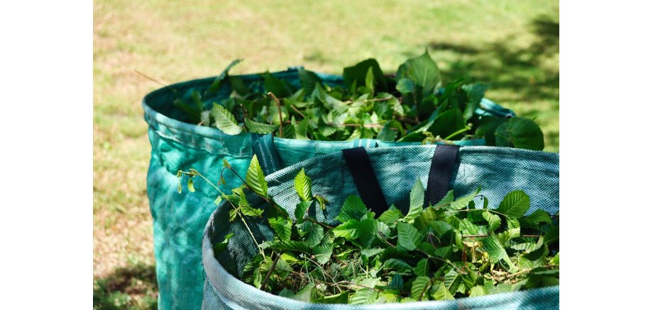 Das Foto zeigt Heckenschnitt in einem grünen Sack. 