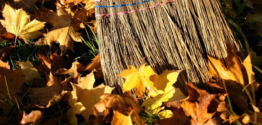 Besen im Herbstlaub