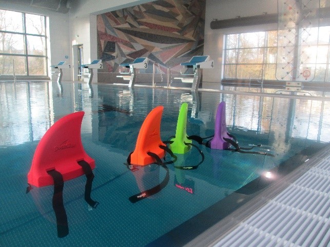 Auf dem Bild sind die Schwimmhilfen in dem Hallenbad in Schwalmstadt auf dem Wasser zu sehen. 