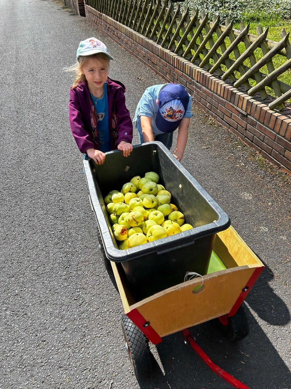 Kinder, die einen Bollerwagen gefüllt mit Äpfeln schieben
