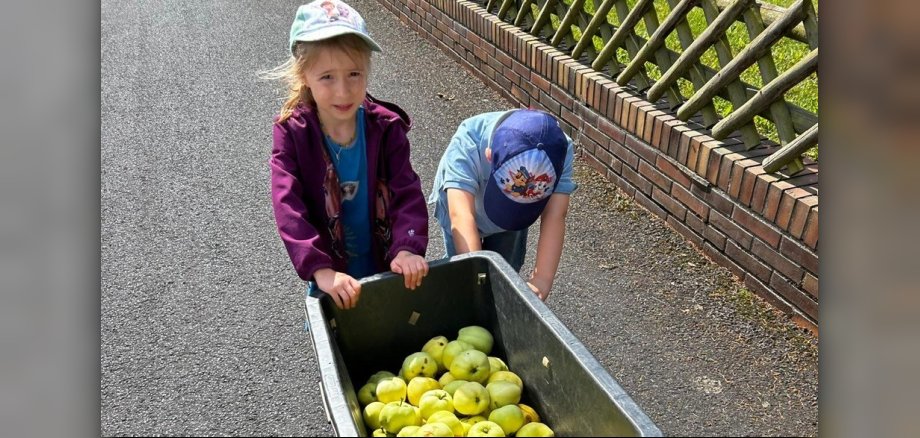 Kinder, die einen Bollerwagen gefüllt mit Äpfeln schieben