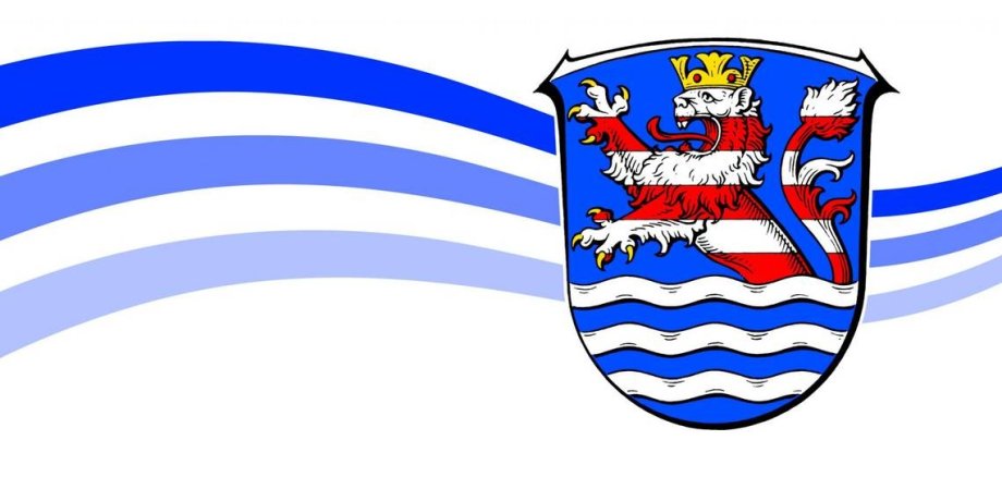 Auf dem Bild ist das Logo des Schwalm-Eder-Kreises zu sehen; drei blaue Wellenlinien mit dem blauen Wappen des Kreises; auf dem Wappen ist ein rot-weiß gestreifter Löwe mit gelber Krone zu sehen.