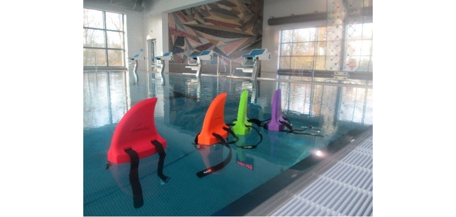 Auf dem Bild sind die Schwimmhilfen in dem Hallenbad in Schwalmstadt auf dem Wasser zu sehen.