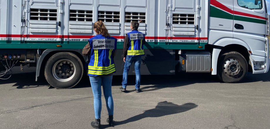 Zwei Veterinärmitarbeitende kontrollieren einen Tiertransport-Lkw mit mehreren abgetrennten Abteilen. Der weiße Lkw steht auf einem Betriebsgelände und trägt eine deutsche Flagge.