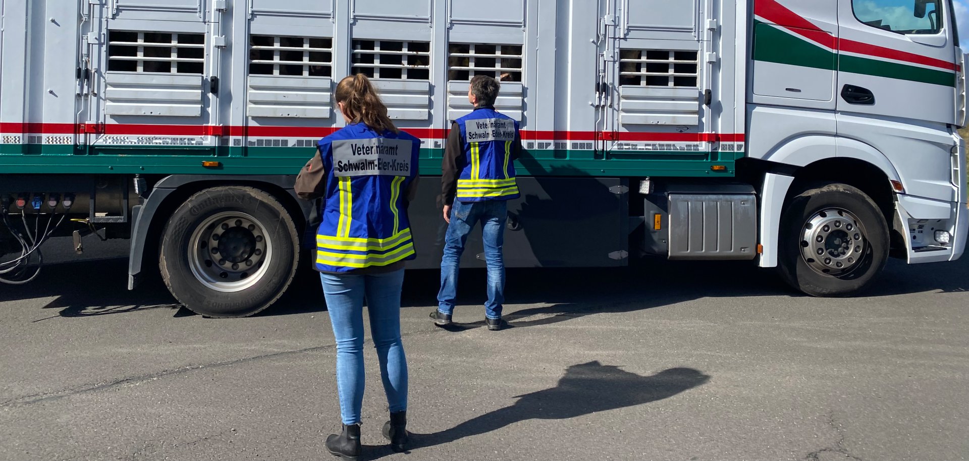 Zwei Veterinärmitarbeitende kontrollieren einen Tiertransport-Lkw mit mehreren abgetrennten Abteilen. Der weiße Lkw steht auf einem Betriebsgelände und trägt eine deutsche Flagge.